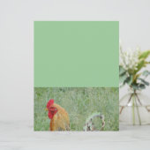 オンドリのアニマル・ファームのカラフルの鶏 (スタンド正面)