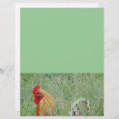 オンドリのアニマル・ファームのカラフルの鶏 (正面/裏面)