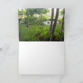 オンドリの空白のな自然 カード (内部)