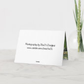 オンドリの空白のな自然 カード (裏面)