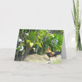 オンドリの空白のな自然 カード