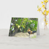 オンドリの空白のな自然 カード (黄色い花)