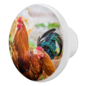 オンドリの陶磁器のノブ セラミックノブ (右)