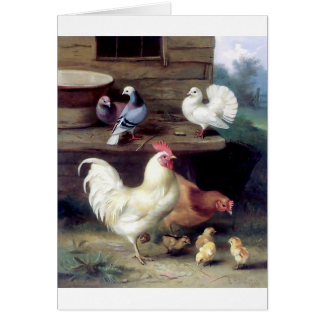 オンドリの雌鶏の鶏の鳩 (正面)