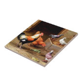 オンドリの雌鶏ハト タイル (側面)