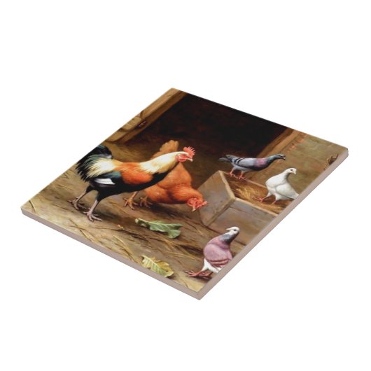 オンドリの雌鶏ハト タイル (側面)