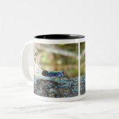 オンドリ尾蝉(fulgoridのplanthopper) ツートーンマグカップ (正面左)