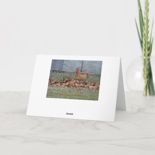 オンドリ、お祝い カード (裏面)