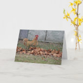 オンドリ、お祝い カード (黄色い花)