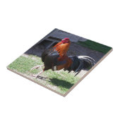 オンドリ タイル (側面)