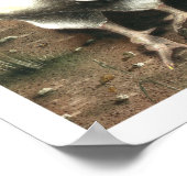 オンドリ ポスター (角)