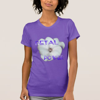 オンワードウェイズコレクション Tシャツ