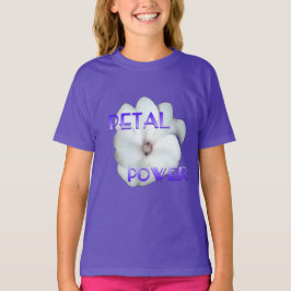 オンワードウェイズコレクション Tシャツ