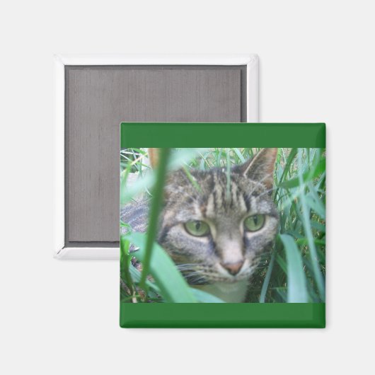 オン狩りCat磁石 マグネット (正面/裏面)