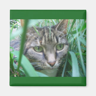 オン狩りCat磁石 マグネット