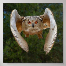 オヴォドモチョ