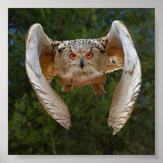 オヴォドモチョ ポスター