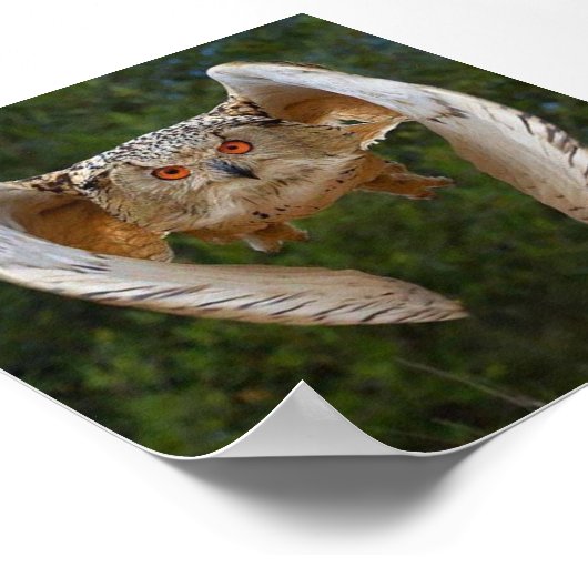 オヴォドモチョ ポスター (角)