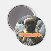 オーガスタス「フランス人のように戦う」ピン マグネット (正面/裏面)