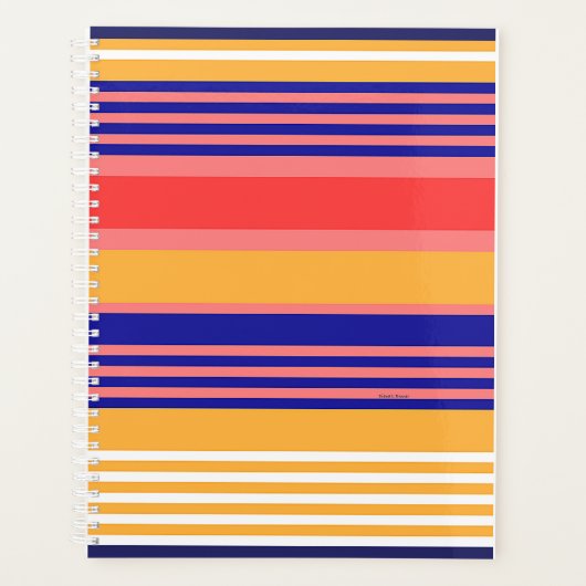 オーガナイザー黄青ストライプのプランナー プランナー手帳 (正面)