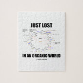 オーガニックな世界(Krebs周期)でちょうど失った ジグソーパズル (縦)