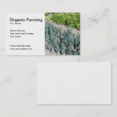 オーガニックな農業カード 名刺 (正面/裏面)