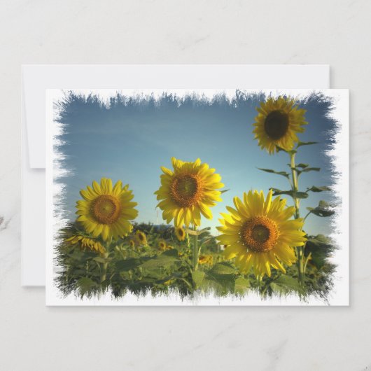 オーガニックガーデニングのご案内 招待状 (正面)