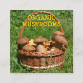 オーガニックキノコの配信、ファームスクエア スクエア名刺 (正面)