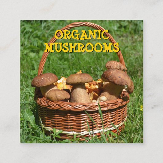 オーガニックキノコの配信、ファームスクエア スクエア名刺 (正面)