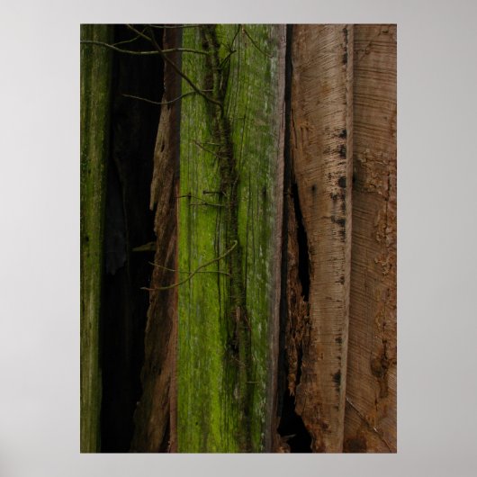 オーガニック ポスター (正面)