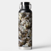 オーガニックMung Sprouts – 栄養素が詰まったスーパーフード ウォーターボトル (正面)