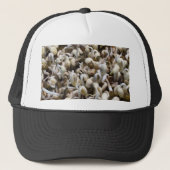 オーガニックMung Sprouts – 栄養素が詰まったスーパーフード キャップ (正面)