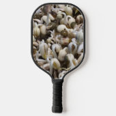 オーガニックMung Sprouts – 栄養素が詰まったスーパーフード ピックルボールラケット (裏面)