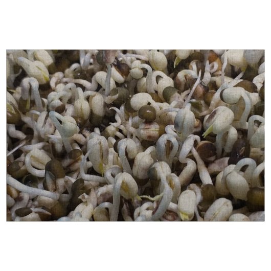 オーガニックMung Sprouts – 栄養素が詰まったスーパーフード ファブリック (ヤード)