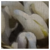 オーガニックMung Sprouts – 栄養素が詰まったスーパーフード ファブリック (見本)