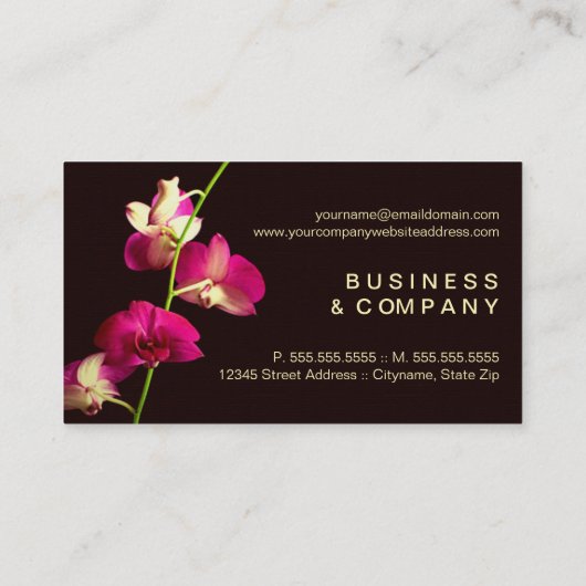 オーキエレガントッドデザイナー 名刺 (裏面)