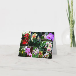 オーキス サンキューカード