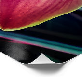 オーキット.シンビジウム ポスター (コーナー)