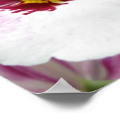 オーキット ポスター (角)