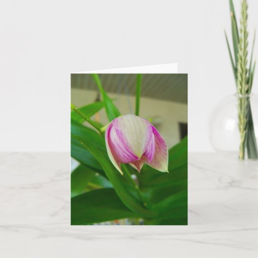 オーキッドの花がノートカー空白のドに開く ノートカード (正面)