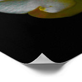 オーキッドは彼女のハート ポスター (角)