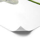 オーキッドウォーター絵画カラー ポスター (角)