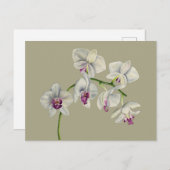 オーキッドウォーター絵画カラー ポストカード (正面/裏面)