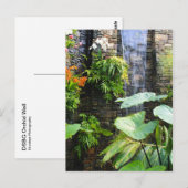 オーキッドウォール ポストカード (正面/裏面)