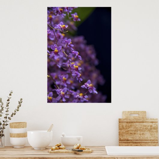 オーキッドオンシジウムトゥインクル ポスター (キッチン)