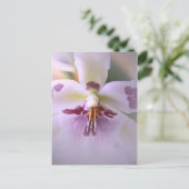 オーキッドカードを閉じる ポストカード (スタンド正面)