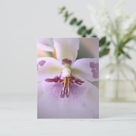 オーキッドカードを閉じる ポストカード (スタンド正面)