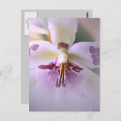 オーキッドカードを閉じる ポストカード (正面/裏面)