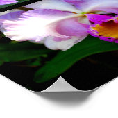 オーキッドコラージュ ポスター (角)