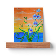 オーキッドサンセット